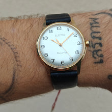 Load image into Gallery viewer, Electra Brevet Lip
