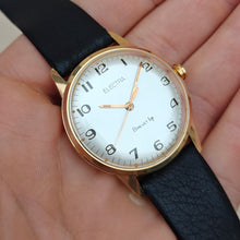 Load image into Gallery viewer, Electra Brevet Lip
